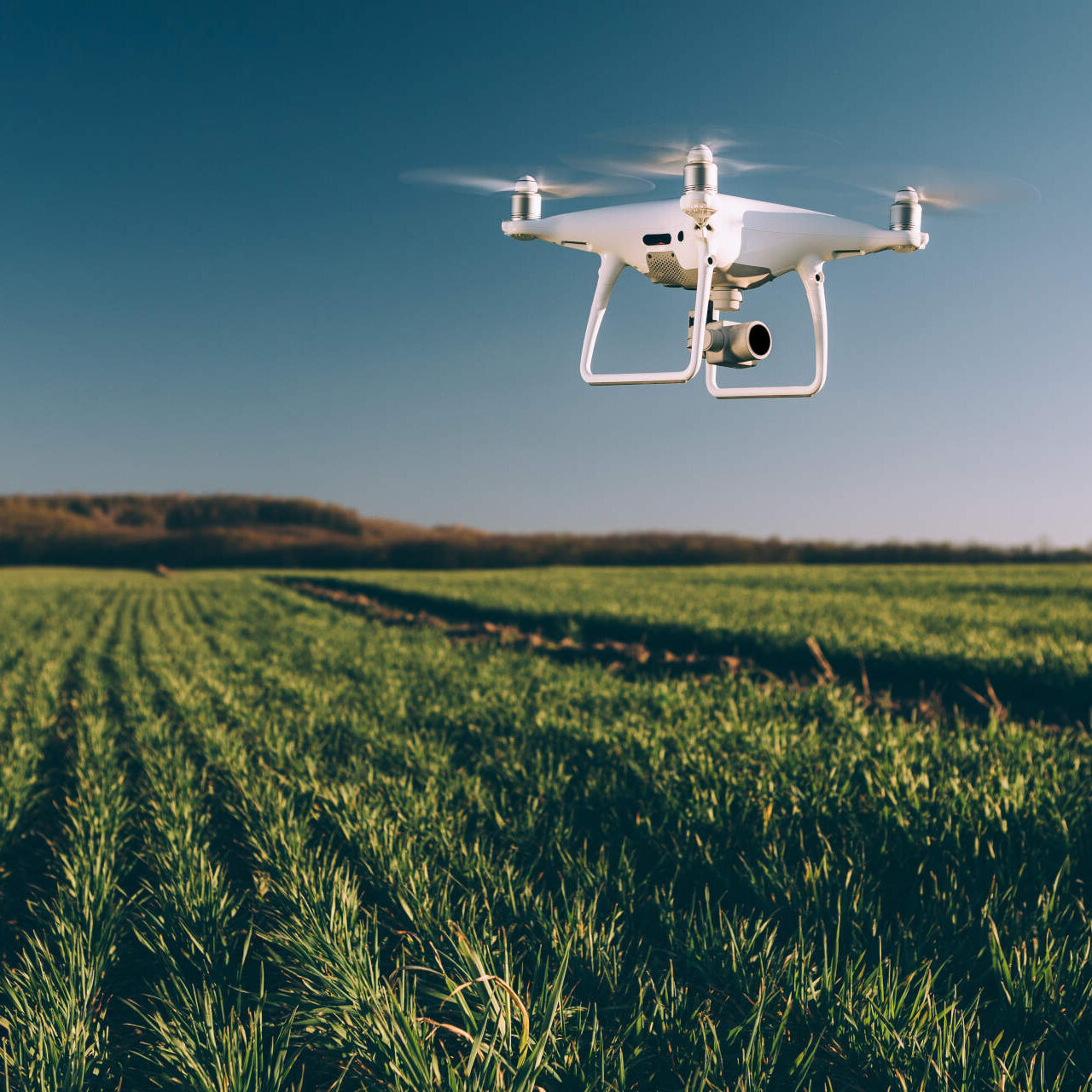 Drone flies over lawns